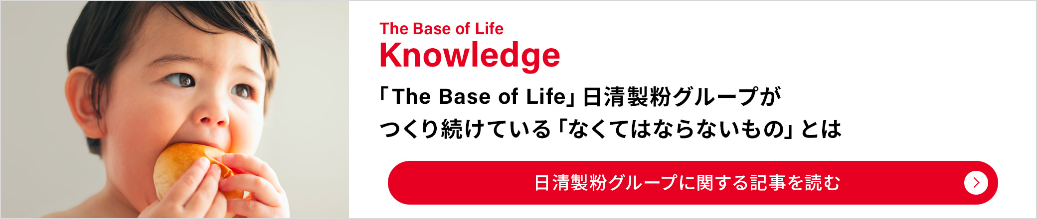 The Base of Life Knowledge：「The Base of Life」日清製粉グループがつくり続けている「なくてはならないもの」とは