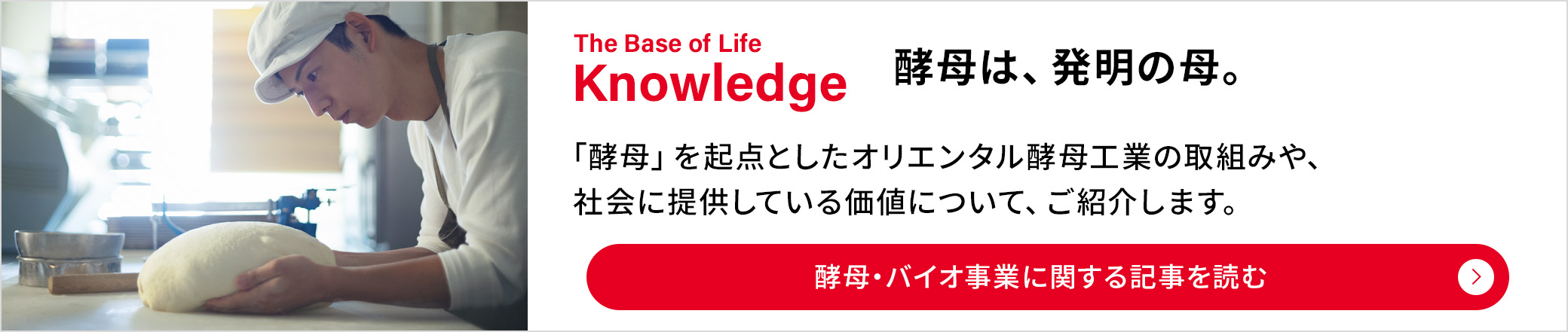 The Base of Life Knowledge：酵母は、発明の母。