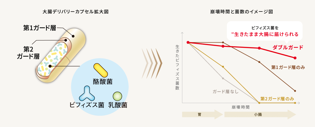 特許技術の大腸デリバリーカプセル