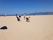 Santa Monica Heal The Bay Project