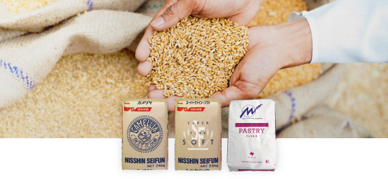 Flour Milling Business