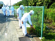 Cleaning activity in the area around the Tsurumi Plant (Nisshin Flour Milling Inc., Nisshin Grain Silo Inc., Nisshin Safety Association)