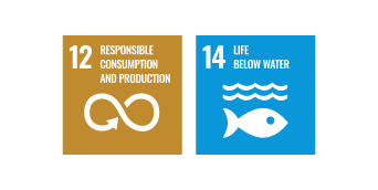 SDGs12 RESPONSIBLE CONSUMPTION AND PRODUTION