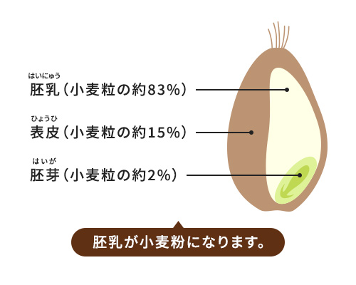 小麦・小麦粉の基礎知識 | 小麦粉を知る | 小麦粉百科 | レシピ