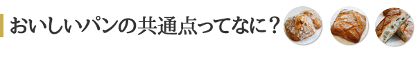 おいしいパンの共通点ってなに？