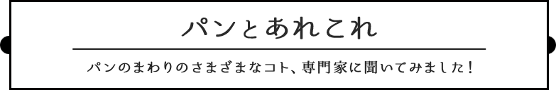 パンとあれこれ 