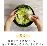 その1 野菜をもっとおいしく、おいしそうにはさむには？