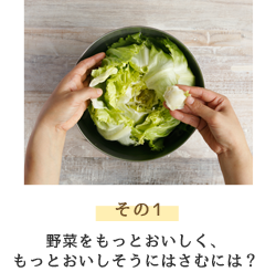 その1 野菜をもっとおいしく、おいしそうにはさむには？