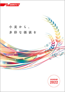 統合報告書