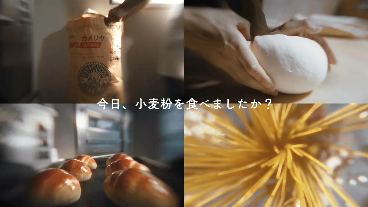 企業広告 The Base of Life 製粉篇 15秒
